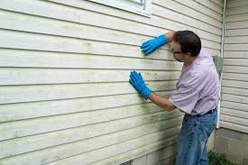 Siding Removal and Disposal in Raymondville, TX